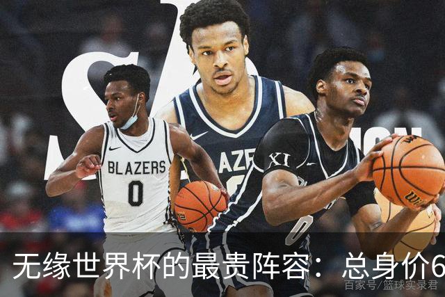 无缘世界杯的最贵阵容：总身价6.7亿 意大利5人
